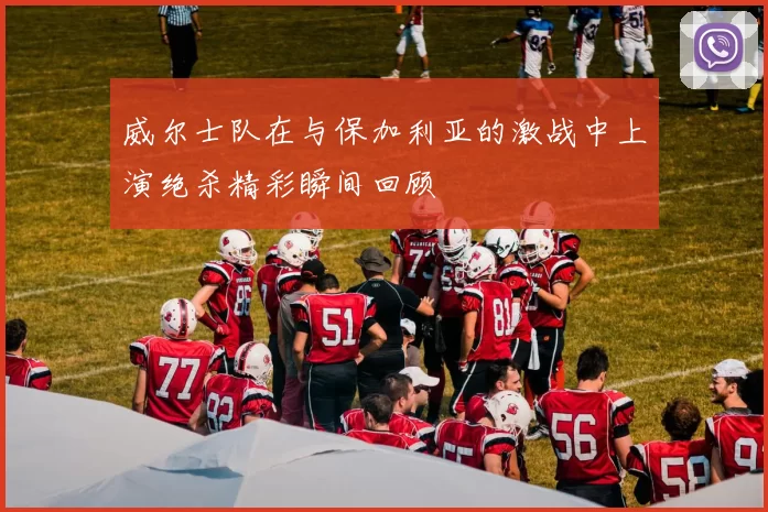 威尔士队在与保加利亚的激战中上演绝杀精彩瞬间回顾